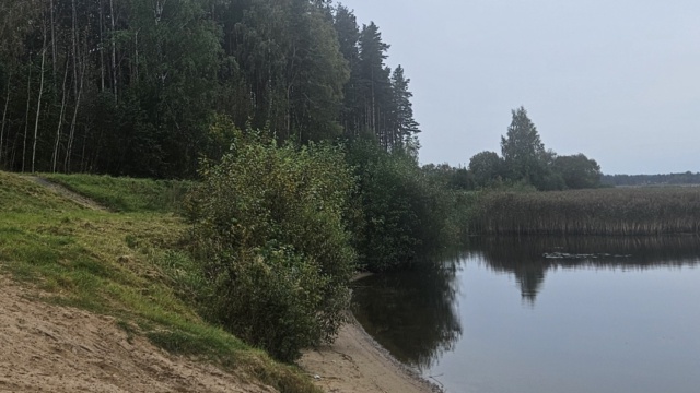 Приглашаем на субботник и мастер-класс